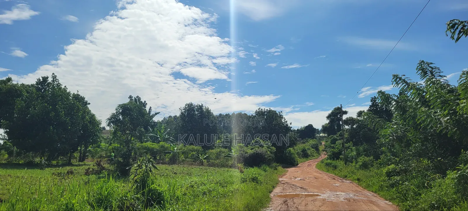 50 by 50 Plot at Kigoogwa