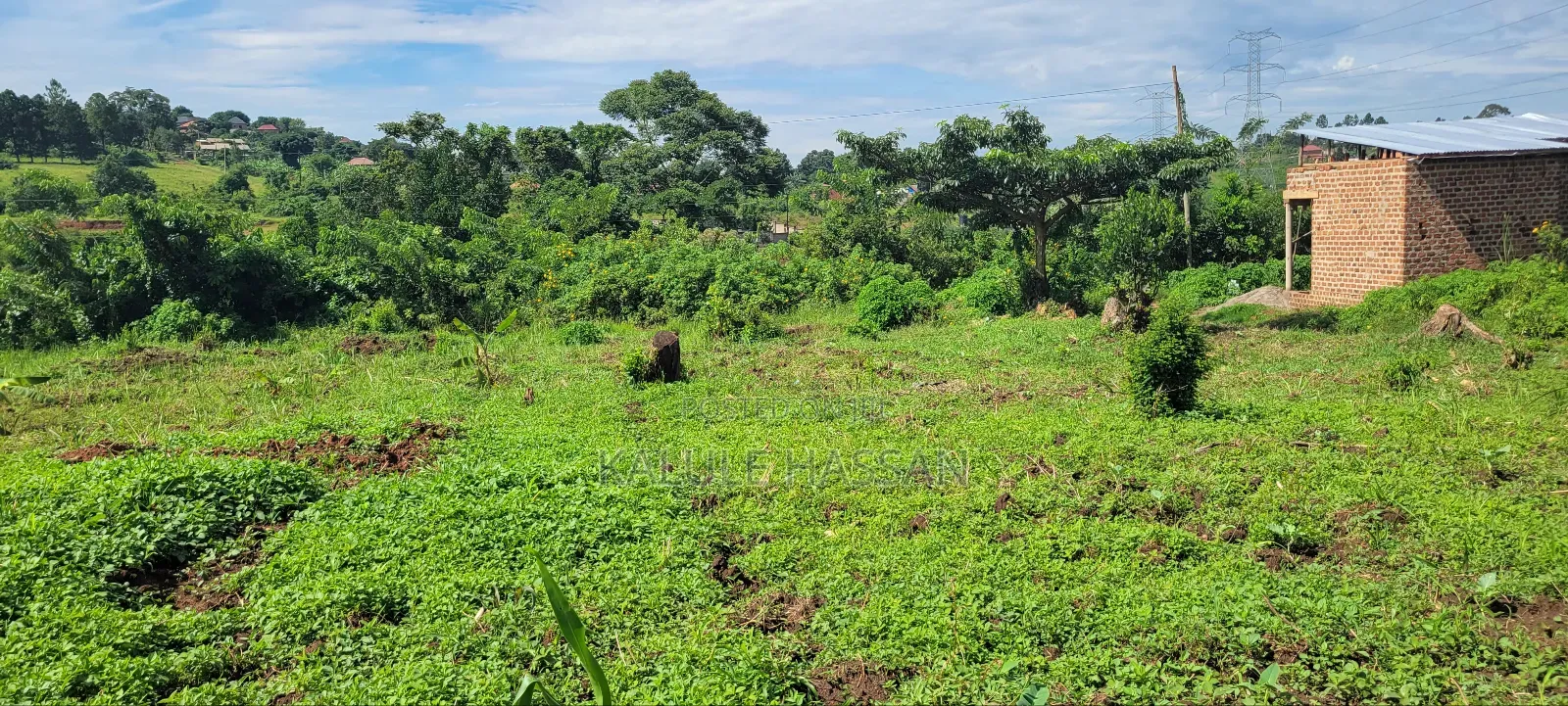 50 by 50 Plot at Kigoogwa
