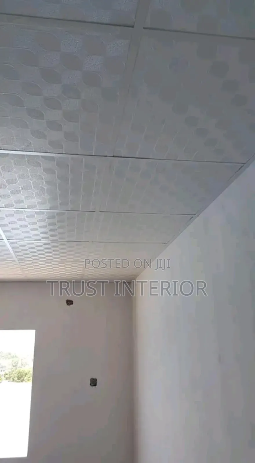 Suspended Ceiling Technicians
