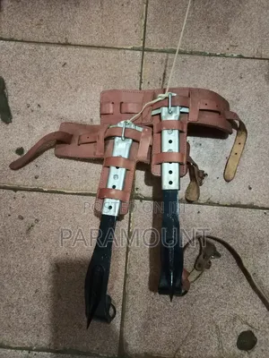 Tree Climbing Spike Set