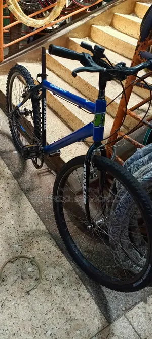 Bicycless for Adultssss