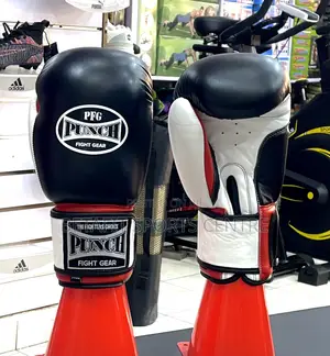 Boxing Gloves (Pfg)