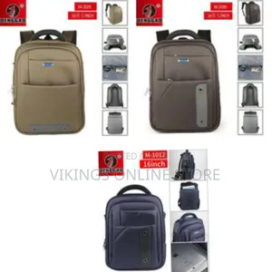Denggao 16 Inch Travel Laptop Anti Theft Backpack Travel Business