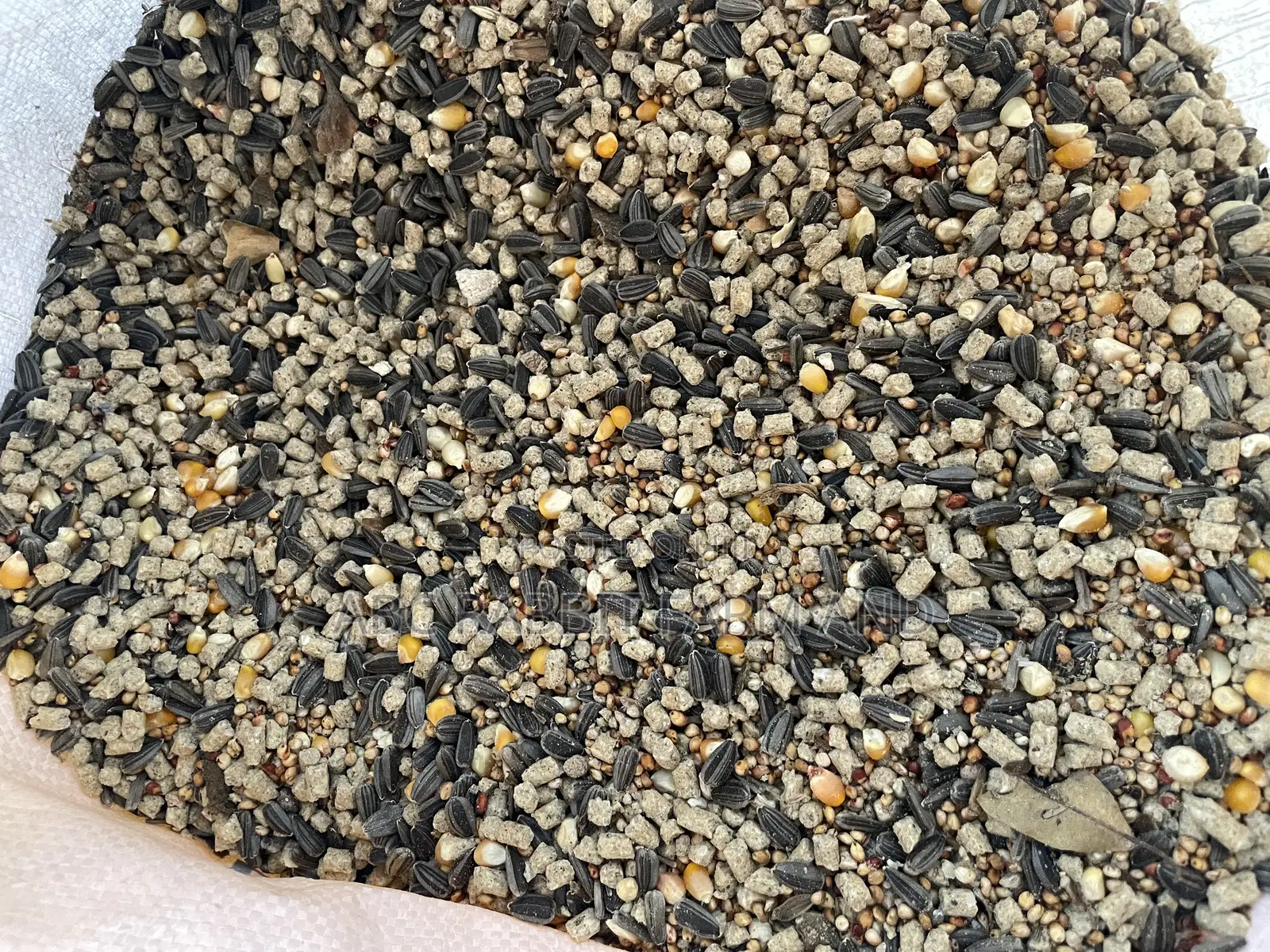 High Protein Pigeon Food 10kg
