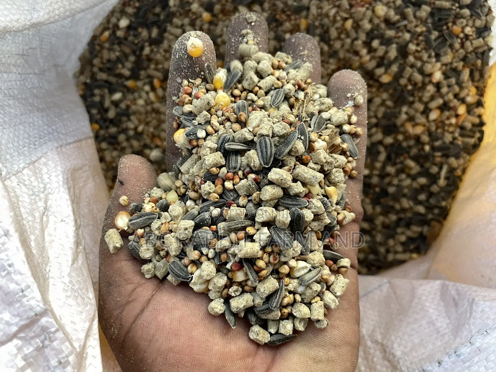 High Protein Pigeon Food 10kg