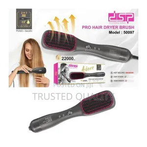 Professional Hair Dryer Brush