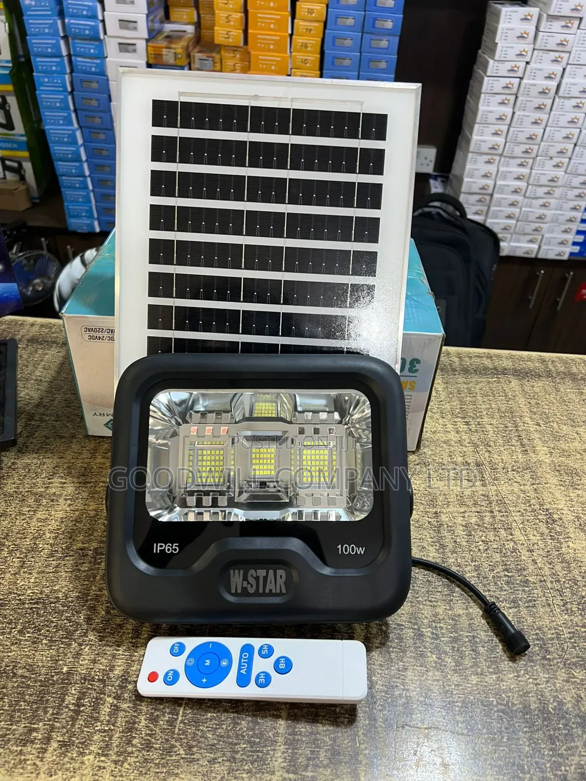 100w W-Star Solar Flood Light