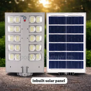 3000w Royal Solar Street Light