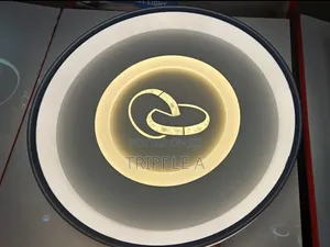Two Color Ceiling Light