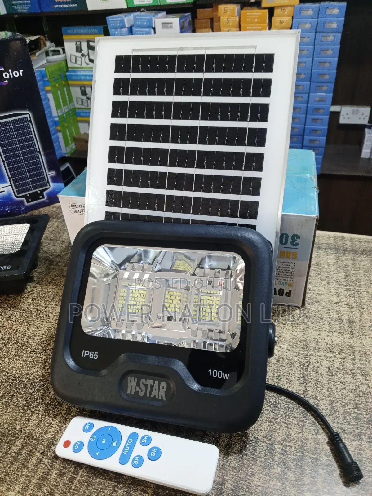 100w W-Star Solar Flood Light