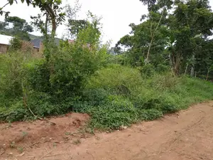 Land 35 by 50 Feet