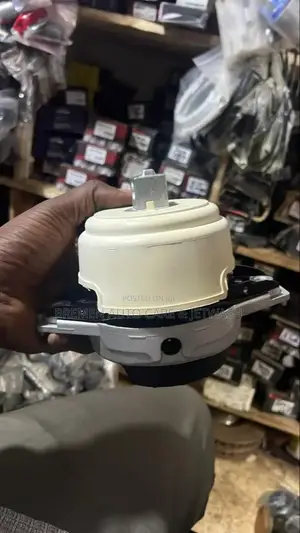 Engine Mounting W166