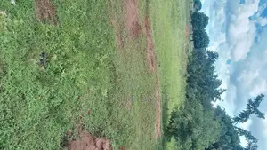 Plot for Sale