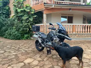 BMW R1250GS 2022 Green