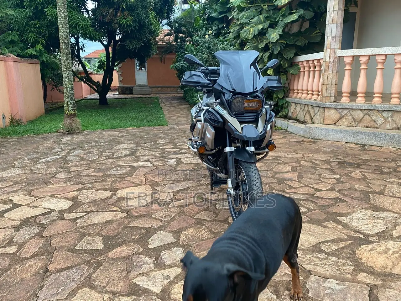 BMW R1250GS 2022 Green