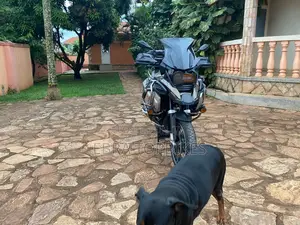 BMW R1250GS 2022 Green
