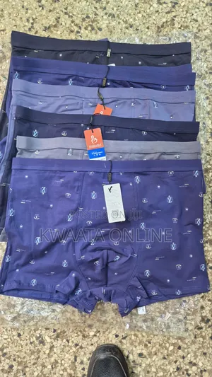 Men's Underwear Briefs Soft Cotton Fat Guy Extended Size Boxers