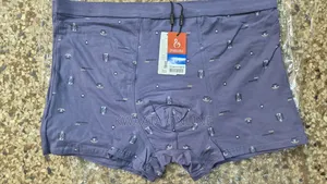 Men's Underwear Briefs Soft Cotton Fat Guy Extended Size Boxers