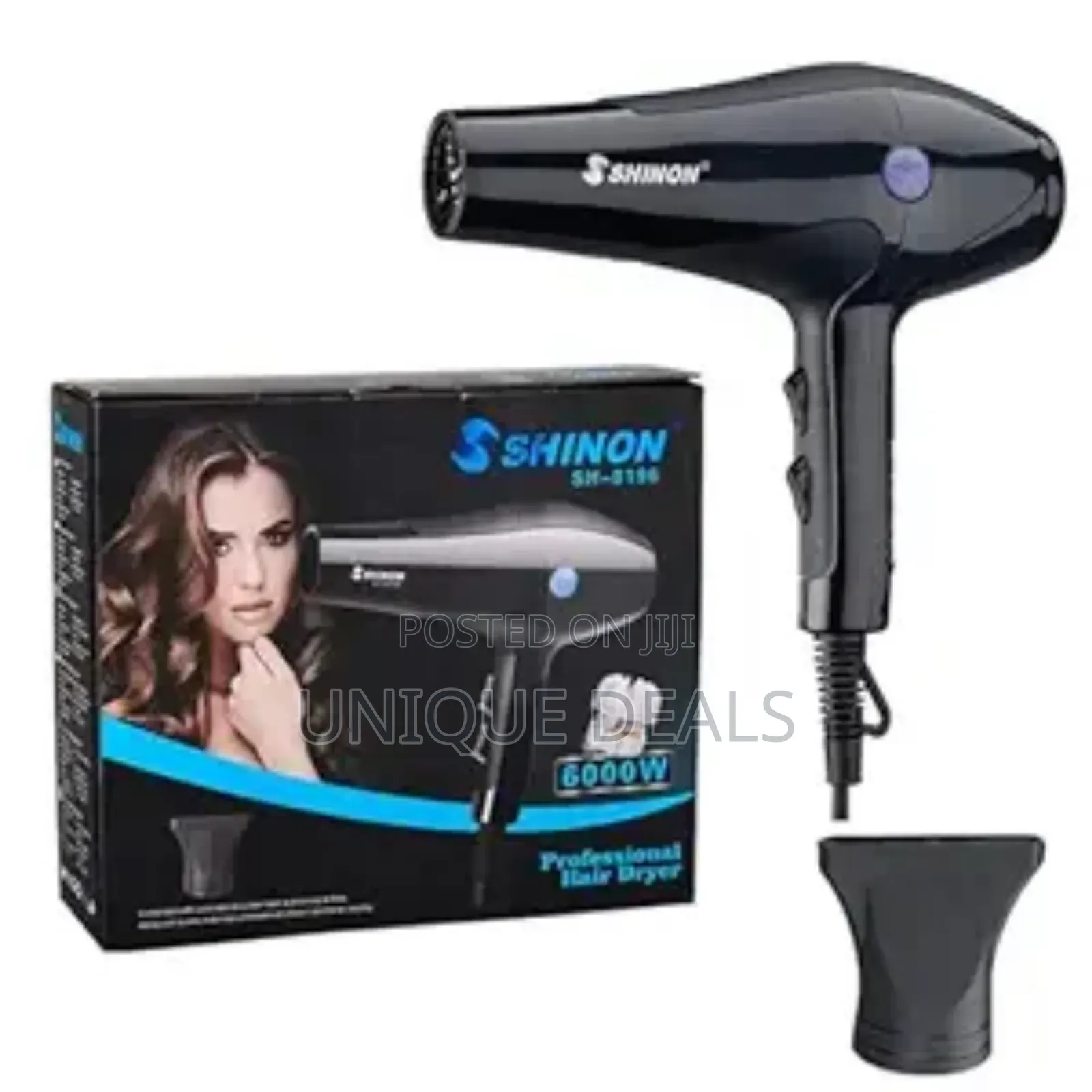 Professional Hair Dryer