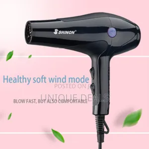 Professional Hair Dryer