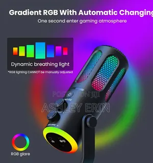 TNW Usb Condenser Microphon