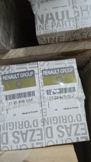 Renault Oil Filter/ Cleaner