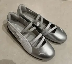 Gray Speed Cat Ballet