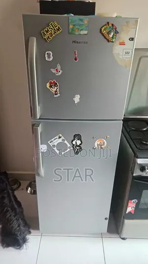 Hisense 295 Litter Refrigerator