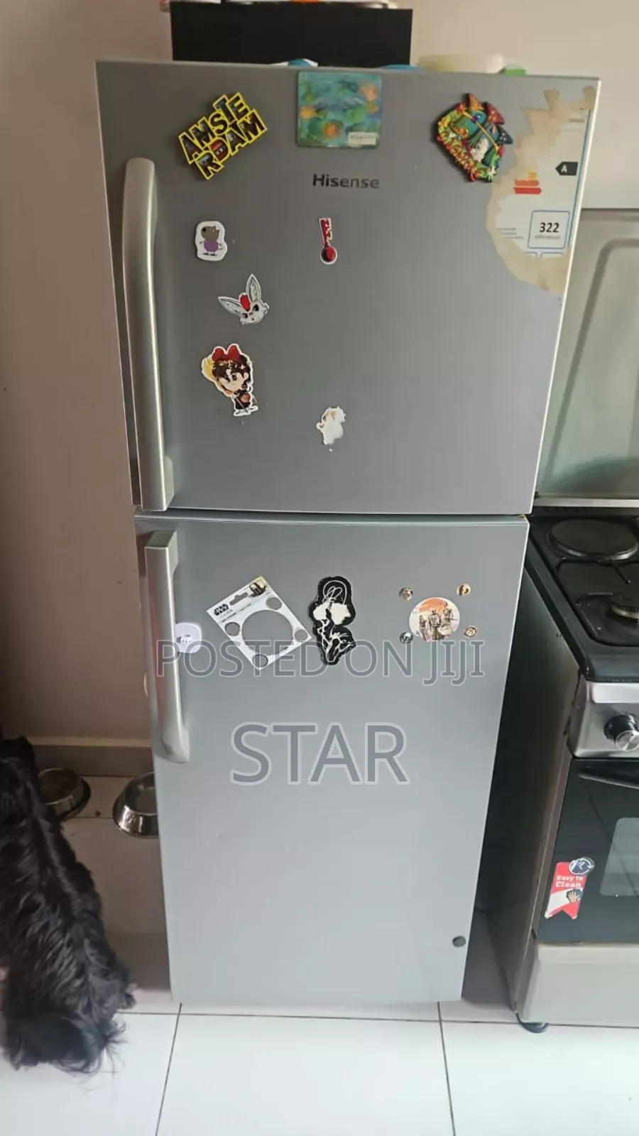 Hisense 295 Litter Refrigerator