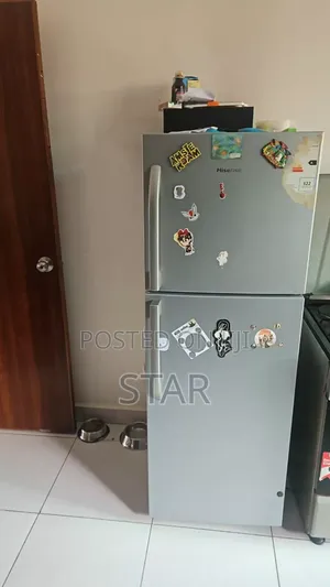 Hisense 295 Litter Refrigerator