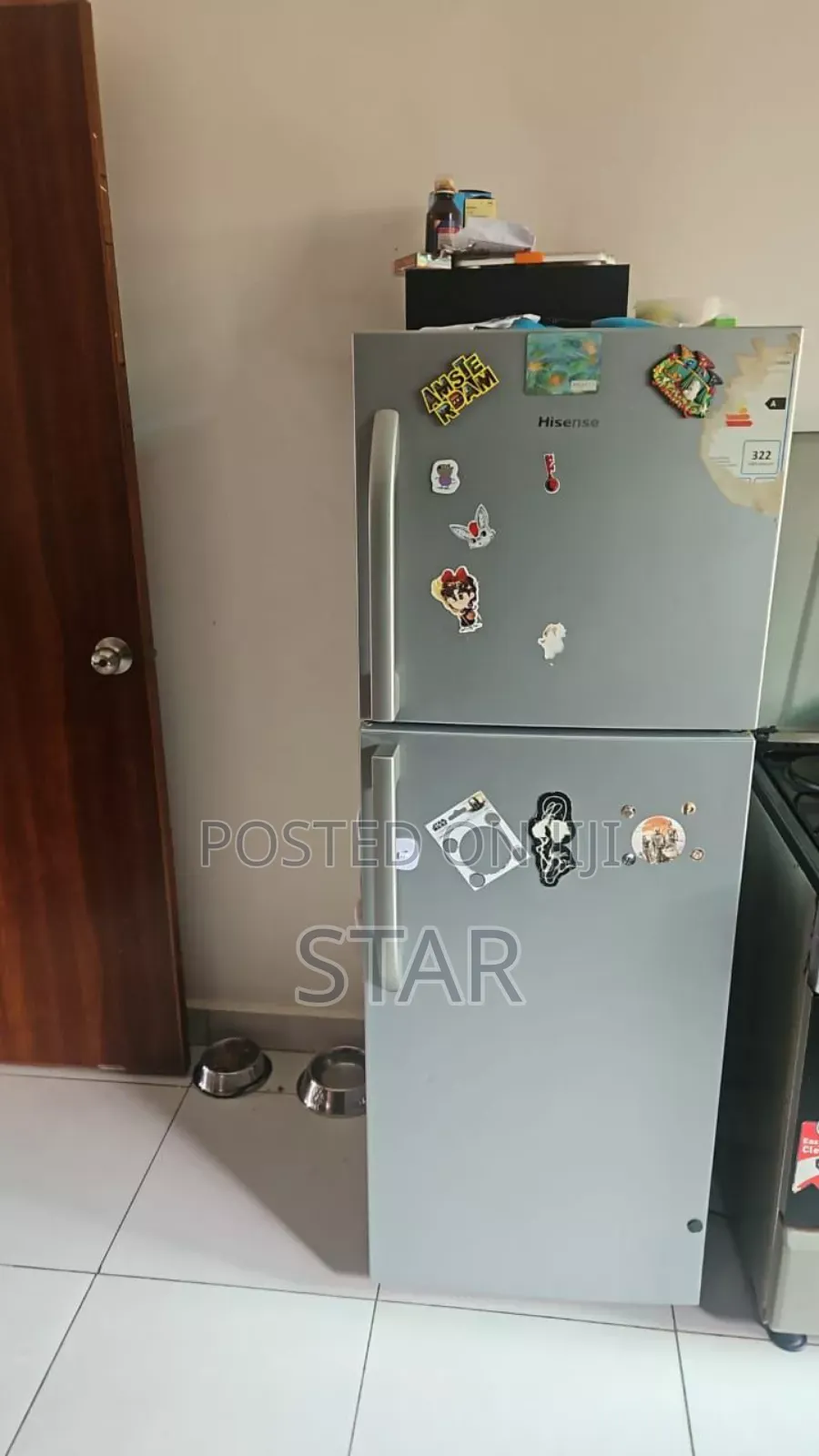 Hisense 295 Litter Refrigerator