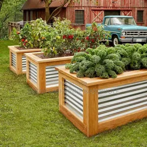 Backyard Gardening and Urban Farming