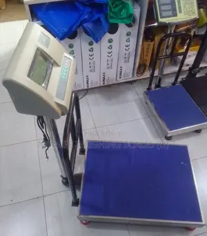 Digital Weighing Scale 300kg Weigh A12-580 Digital Weighing Scale