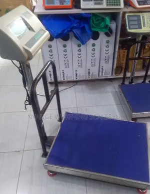 Platform Digital Weighing Scale 300kg Weigh Digital Weighing Scale