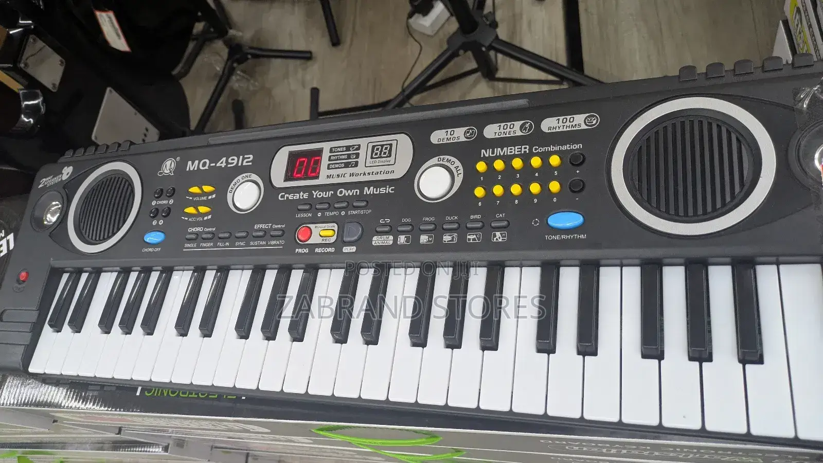 Portable Electronic Keyboard Piano 49 Keys