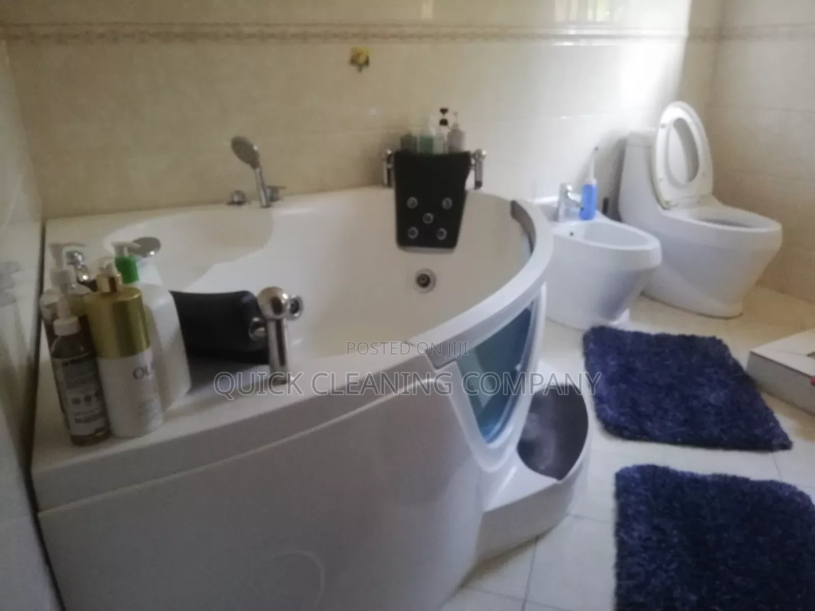 Cleaning Service Specialist