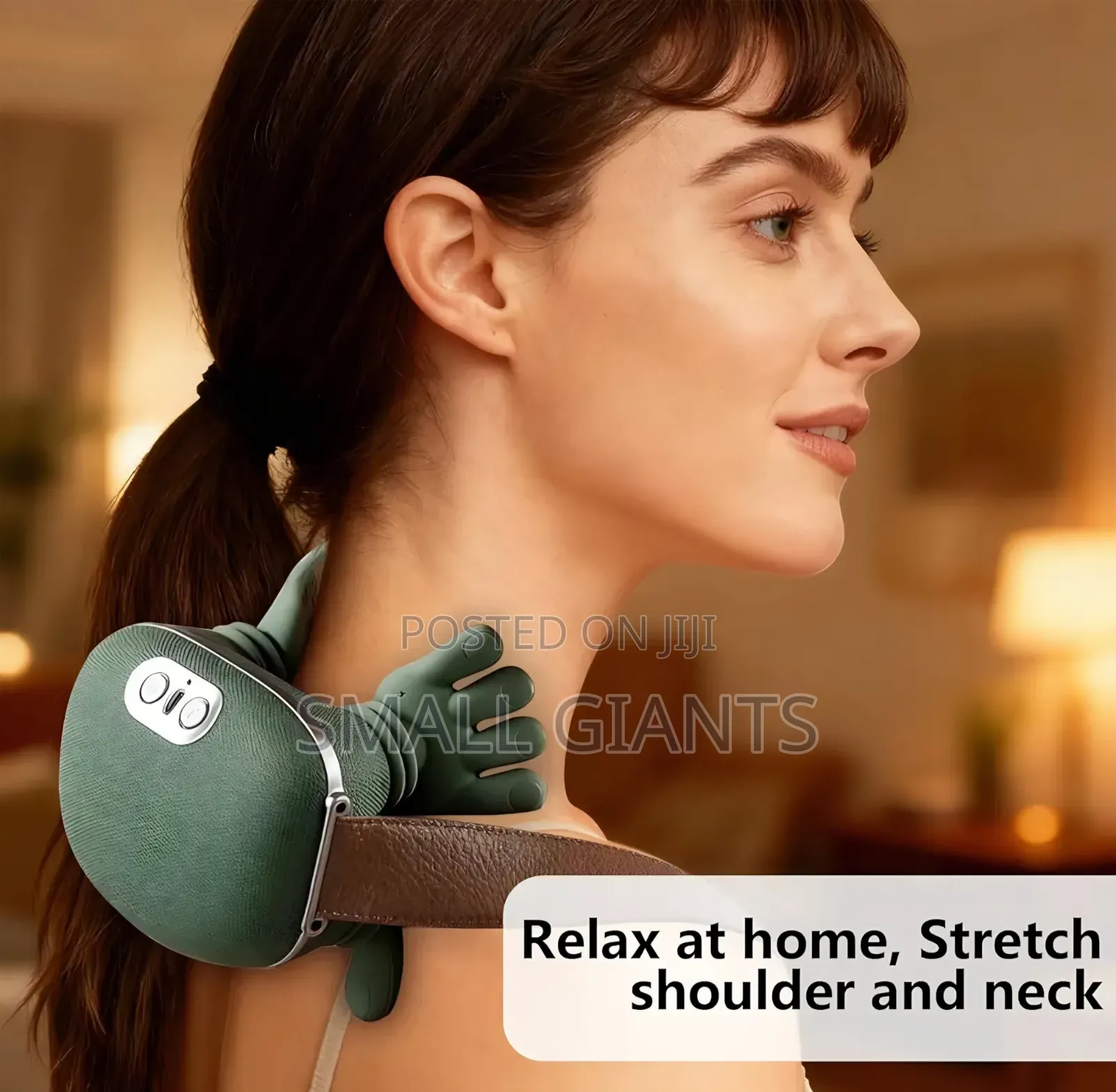 Bionic Heated Neck and Back Massager.