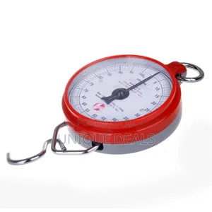 Hanson 100kg Weighing Scale