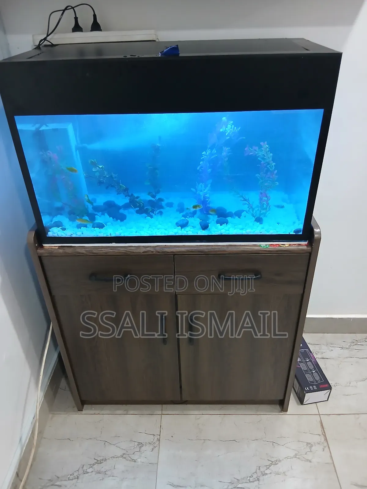 Black and Grey Wooden Stand and Blue Light System.
