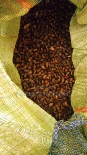 Afripure Organic Castor Oil and Seeds