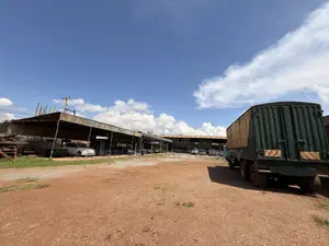 6070 Square-Meters of Land