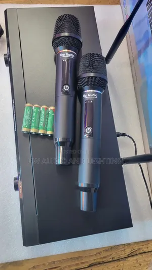 Wireless Cordless Microphone Bw -3000