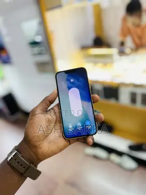 Apple iPhone 15 Pro Max 256 GB Gray