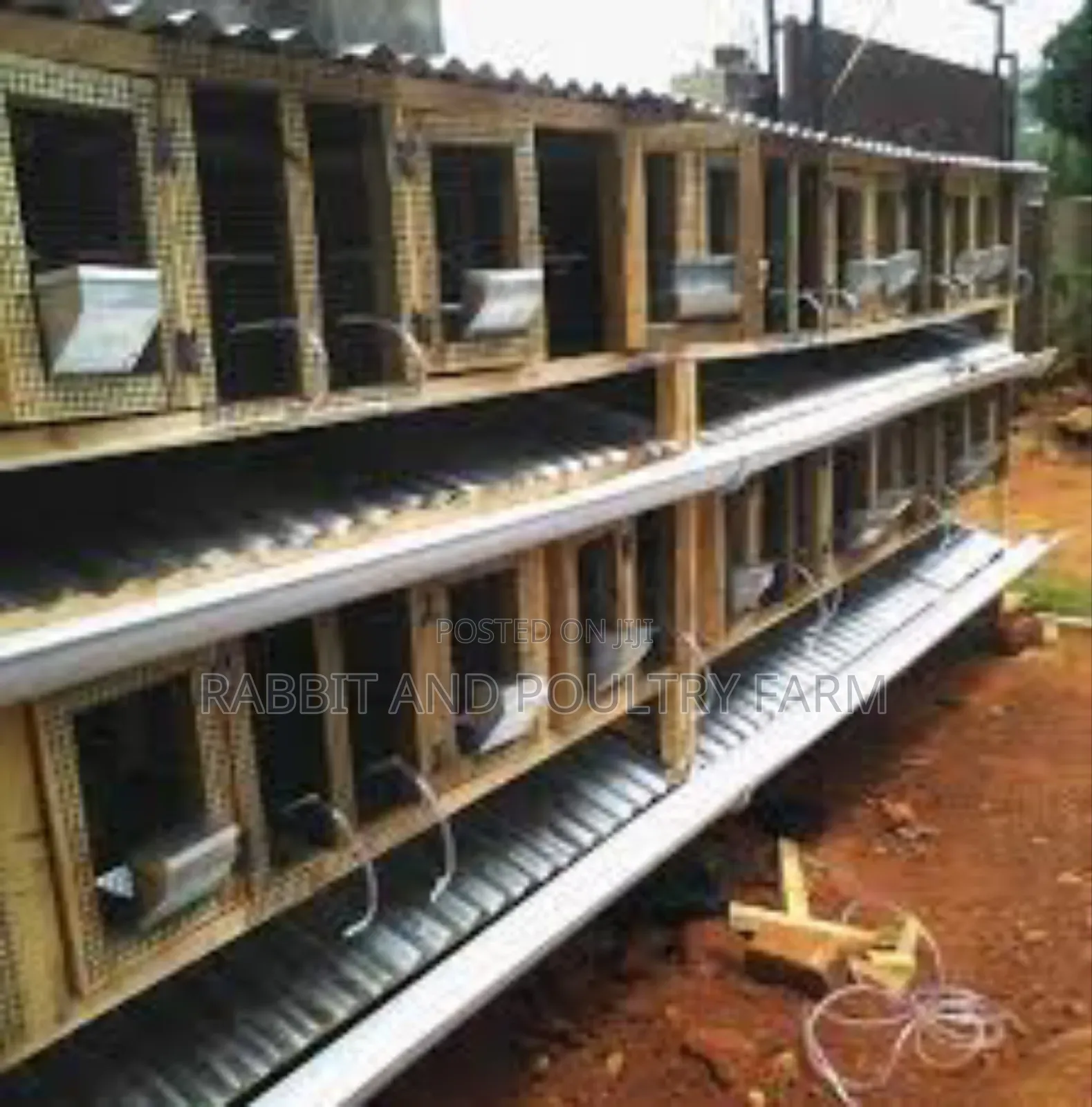 Rabbit Feeders (Feeding Troughs)