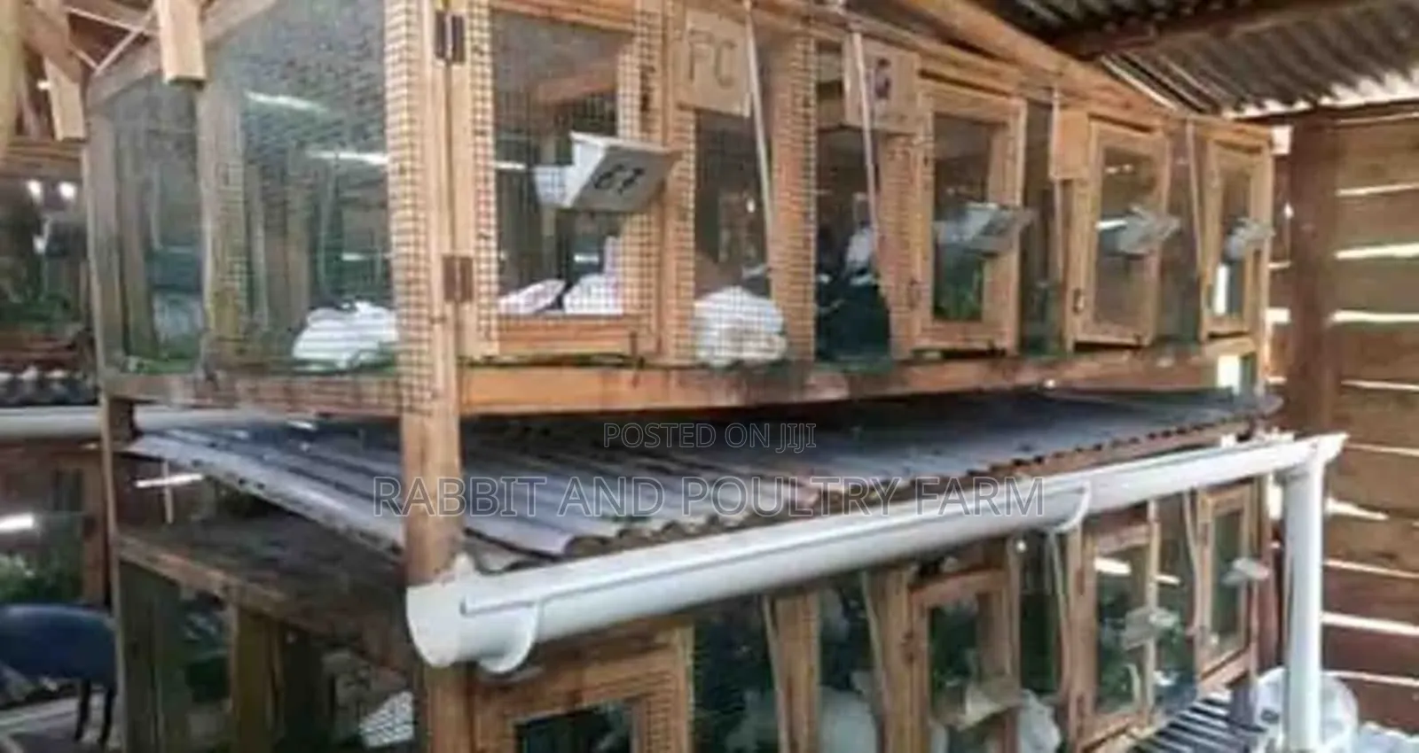 Rabbit Feeders (Feeding Troughs)
