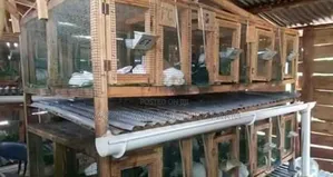 Rabbit Feeders (Feeding Troughs)