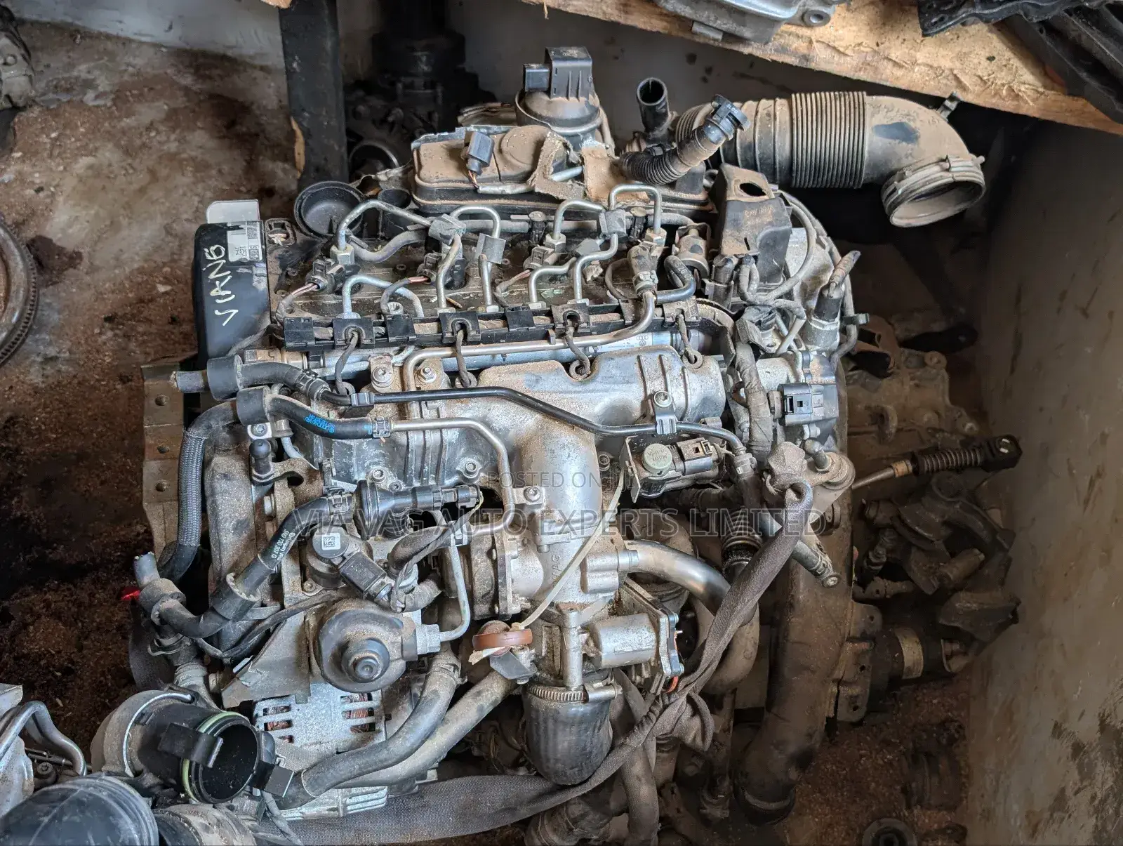Engine Diesel