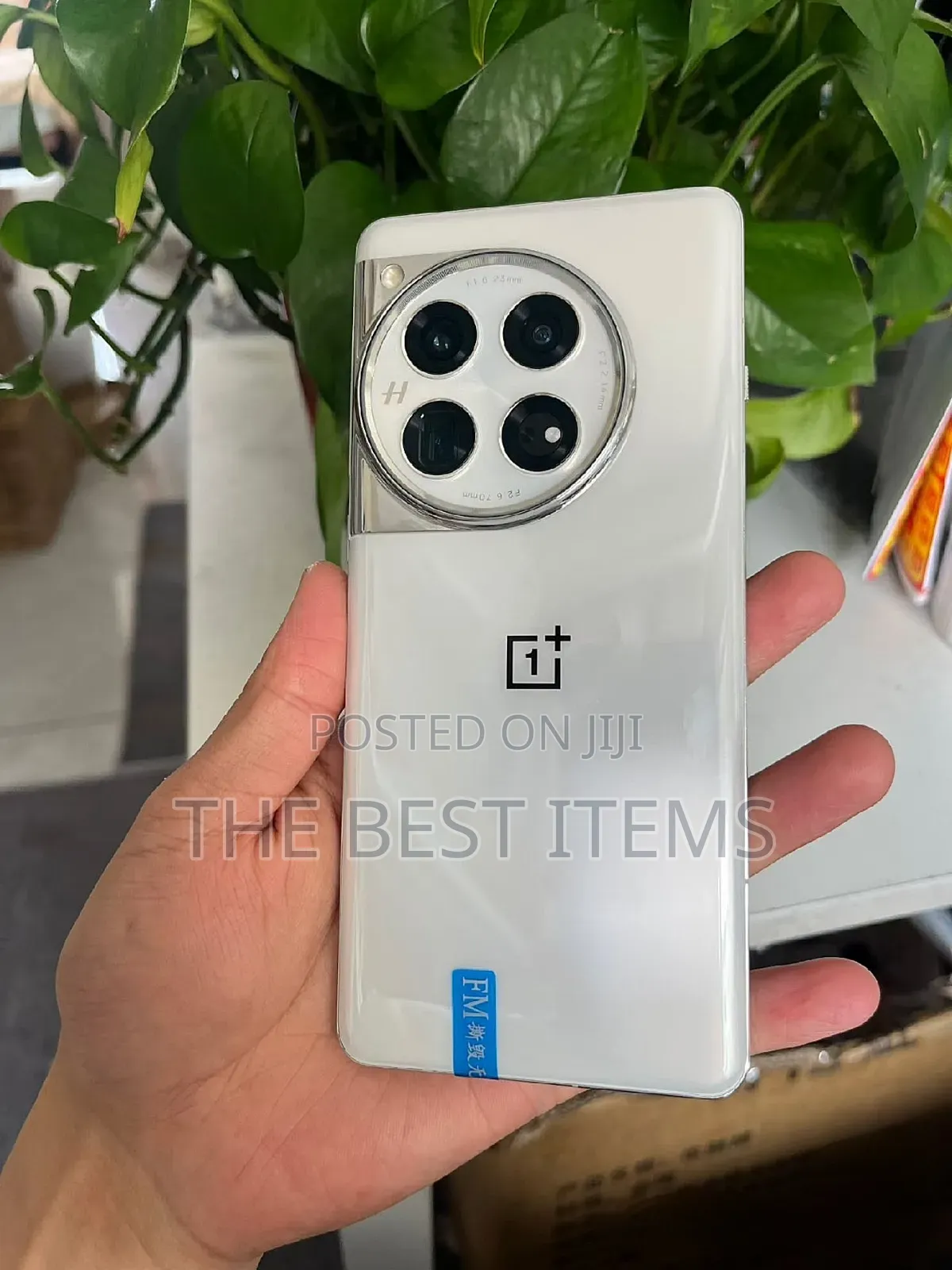 OnePlus 12 256 GB White