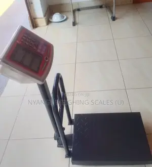 Platform Digital Weighing Scale 99/0.001kgweigh Digital Weighing Scale