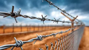 Barbed Wire Installation Services/Activity